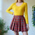 Check skirt