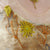 Vintage Fairy Top S/M