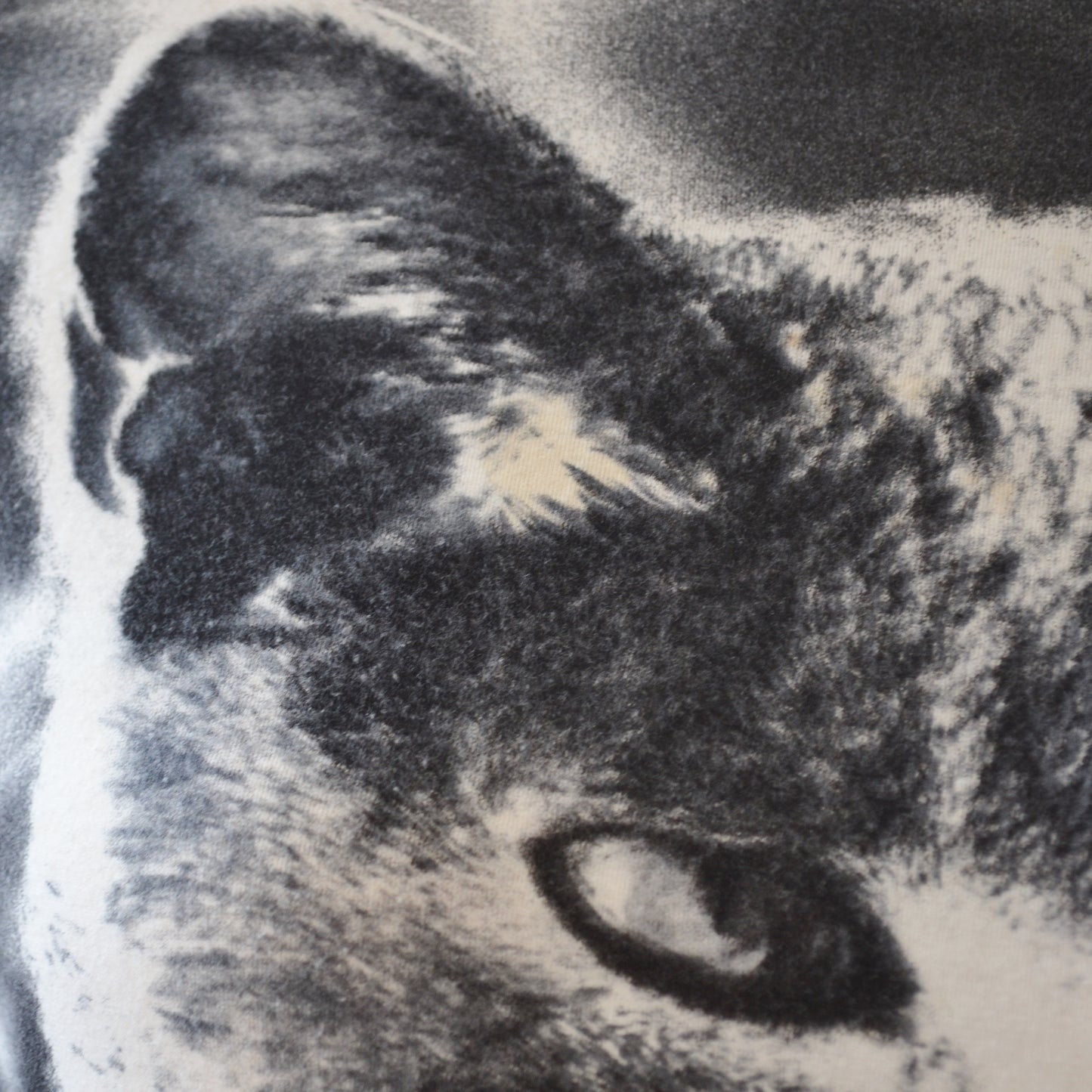 Vintage Cat Top M